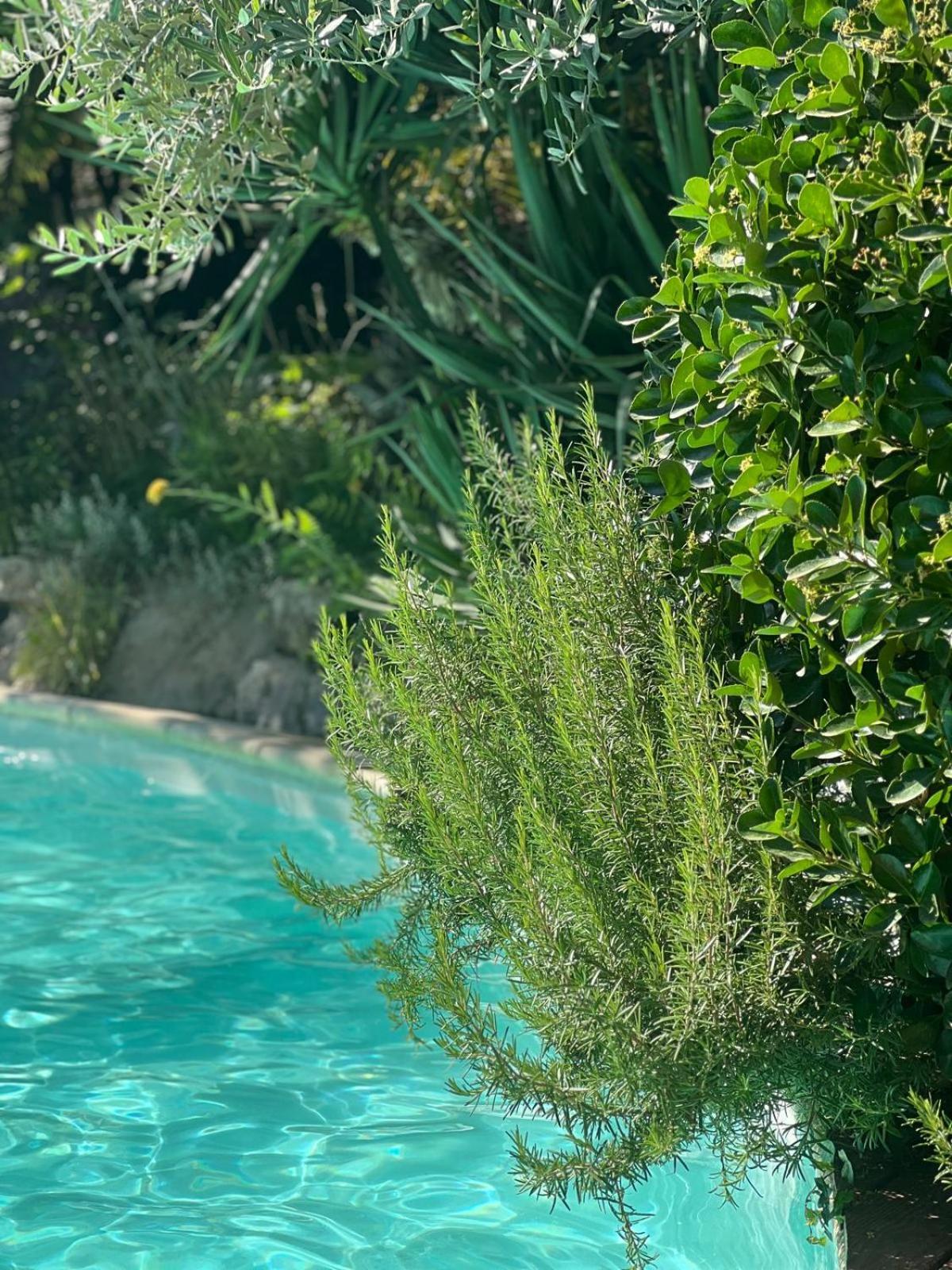 La Bastide De Canaules エクステリア 写真
